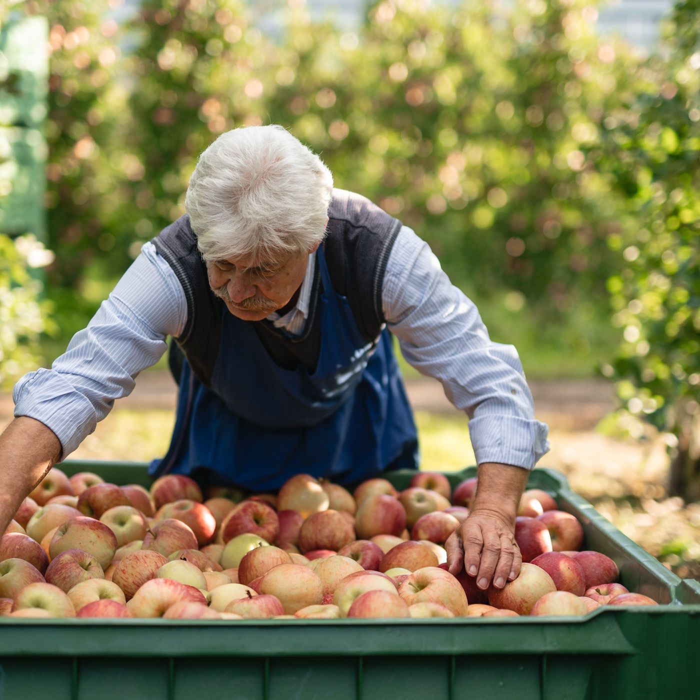 autunno in Alto Adige