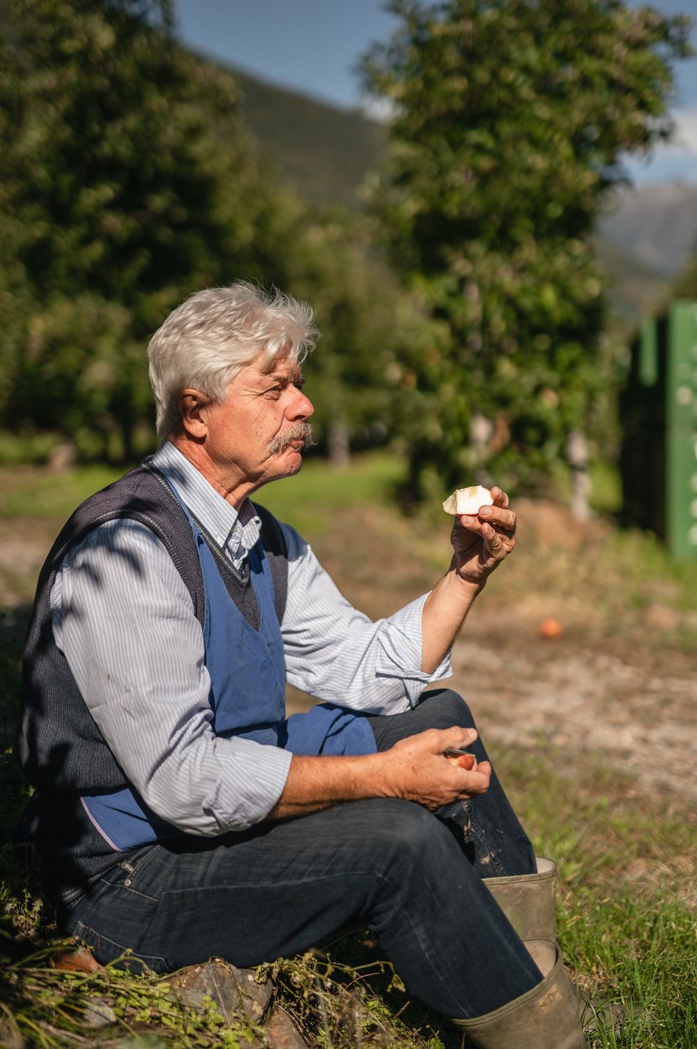 Apfelzeit im Törggelehof