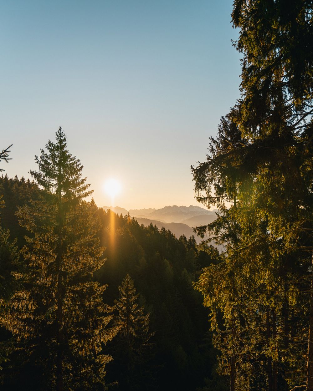 Midweek Special im Oktober -5%